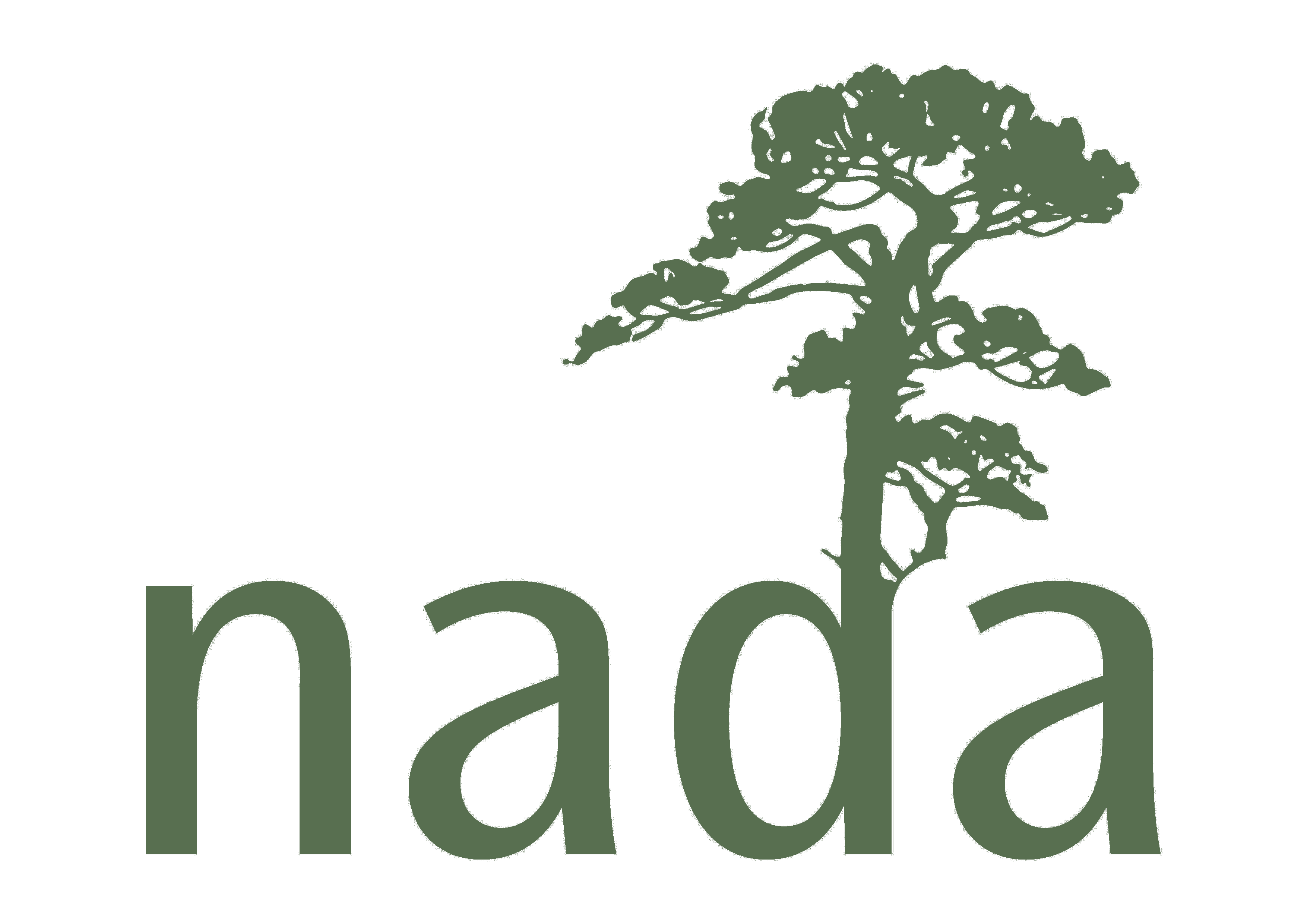 Ne Nada Meaning